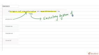 Origin of nephridia in earthworm is [upl. by Nagel]