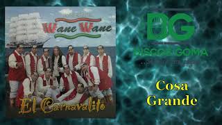 Banda Wane WaneCosa Grande Audio Oficial [upl. by Ylrebmit]