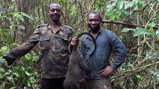 Histoire dune chasse  Cameroun [upl. by Sundberg122]