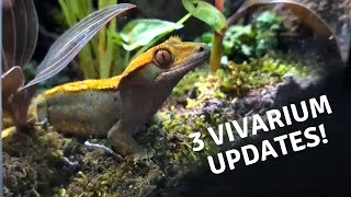 New Plants for my Day Gecko a New Dart Frog Vivarium and an Update on the Crested Gecko Vivarium [upl. by Stearn]