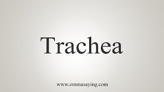 How To Say Trachea [upl. by Inot]