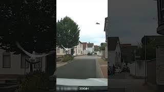 Täubchen auf der Straße deutschland pfungstadt dashcamera [upl. by Androw75]