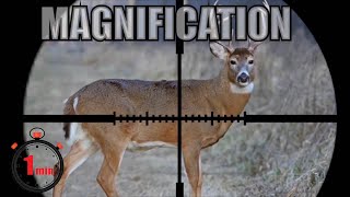 Rifle Scope Magnification Quick Tips [upl. by Halyahs]