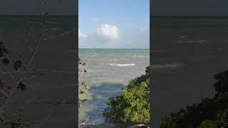 Boulevard de Chetumal en Quintana Roo México Video completo en el canal de YouTube [upl. by Yltsew195]