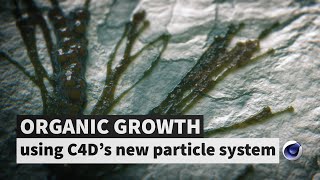 Organic growth using C4Ds new particle system [upl. by Carlos959]