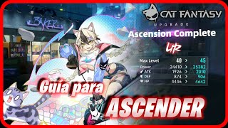 Guía ASCENSIÓN de Personajes y Tips de PODER  Cat Fantasy Isekai Adventure [upl. by Akired]