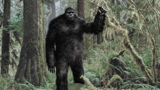 Bigfoot New Evidence [upl. by Yehudit595]