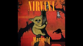 Nirvana  Marigold 1996 [upl. by Esinad]