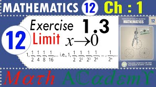 Math 12 Ex 13 Limit of a function as x approaches zero  2nd year mathematics  Exercise 13 [upl. by Naasar]