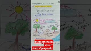 Biogeochemical Cycle Geographyviralvideo shortsvideo shortsshort [upl. by Belter510]