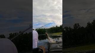 Fishing For BIG FISH In A Canoe With My Wife fishing musky marriage bigfish [upl. by Eveivenej]