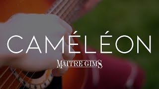 CAMÉLÉON  Maitre Gims  Cover Fingerstyle Guitare MatDeuh Tablature en description [upl. by Annayar]