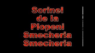 SORINEL DE LA PLOPENI SMECHERIA SMECHERIA [upl. by Lang]