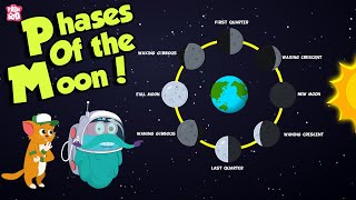 Phases Of The Moon  Why Does The Moon Change Its Shape  Space  Dr Binocs Show  Peekaboo Kidz [upl. by Maleen267]