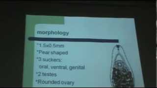 Drmona mahmoud  parasitology  Helminthology 3 [upl. by Lekcim874]