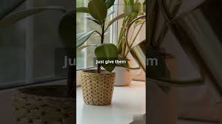 Easy Plant Care Tips for Busy People 🌿 Keep Your Plants Thriving l Push Up Shorts plants tips [upl. by Arytahs]