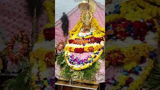 Radha Krishna sagai special short ♥️♥️♥️ [upl. by Ahtekahs]