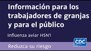 La Dra Denisse Vega Ocasio habla sobre la influenza aviar H5N1 [upl. by Dolora472]