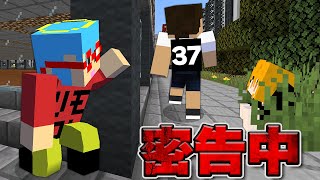 背中の数字を絶対に見られてはいけない【マインクラフト】【カラフルピーチ×ぷちひな×たま】 [upl. by Sommer]