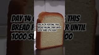 Bread falling over meme the boys got me [upl. by Ylelhsa]