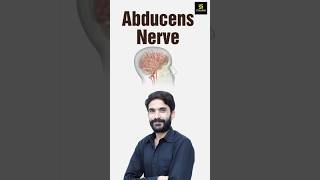 Abducens Nerve shorts utkarshnursing rajusir [upl. by Zaneta]