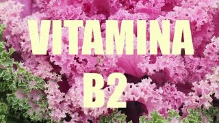 VITAMINA B2 Riboflavina Importância funções benefícios e alimentos ricos [upl. by Kele]