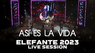 Asi es la Vida ELEFANTE 2023 Live Session [upl. by Clausen772]