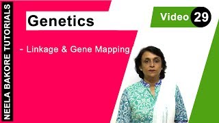 Genetics  Principles of Inheritance amp Variations  NEET  Linkage amp Gene Mapping  Neela Bakore [upl. by Aihsekram]