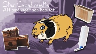 StarCacahouette 11 aménagement de la cage de son cochon dInde  les bases [upl. by Gibe417]