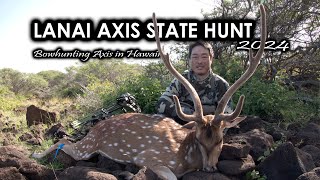 2024 Hawaii State Lanai Axis Hunt [upl. by Imnubulo]