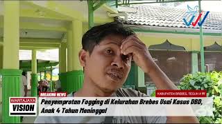 Penyemprotan Fogging di Kelurahan Brebes Usai Kasus DBD Anak 4 Tahun Meninggal [upl. by Ahsieat]