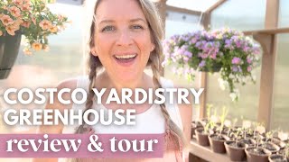 Costco Yardistry Greenhouse Review and Tour  Its finally finished [upl. by Assirahs]