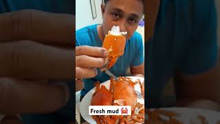 Fresh mud crab seafood mudcrabs adventures sablayan [upl. by Amelina]