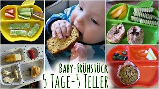 5 Ideen zum Frühstück für Babys  BLW Inspiration  Breifrei [upl. by Grizelda]