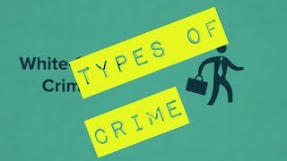 Types of Crime  Legal Studies [upl. by Mcclenaghan]