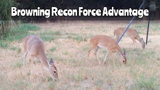 Deer Feeder Cam Browning Recon Force Advantage Trail Camera Sept 19 2024 [upl. by Suivatco]