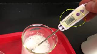 exothermic and endothermic reaction demonstrations [upl. by Roxie]