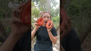 Mamey sapote shortsvideo [upl. by Granniah500]