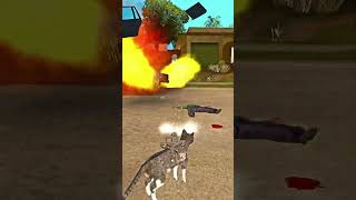 GTA Sa OIIAOIIA CAT spinning cat meme shorts evilamityt [upl. by Garling]