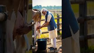 When Narendra Modi gets milk from cows Narendra Modi farming animatedcartoon [upl. by Lula]