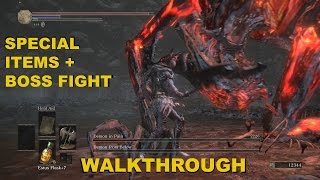 THE RINGED CITY DLC BEST WEAPONSITEMS  DEMON BOSS FIGHT WALKTHROUGH GAMEPLAY [upl. by Rod589]