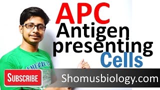 Antigen presenting cells APC [upl. by Nwahsear250]