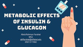 Metabolic Effects of Insulin amp Glucagon  Abdulrahman Farahat  MOL 125 PAL review session [upl. by Naols690]