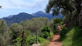 Wanderung Port de Sóller  Sóller [upl. by Nemhauser212]