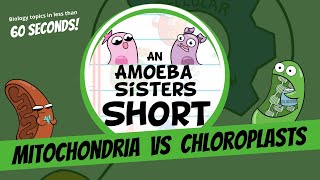 Mitochondria vs Chloroplasts  Amoeba Sisters Shorts [upl. by Hauge46]