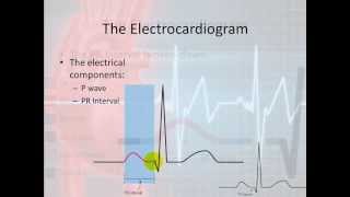 Basic Electrophysiology part 4  The Bumps and Squiggles [upl. by Hallutama]