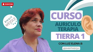 Curso Auriculoterapia modulo Tierra l [upl. by Robbi324]