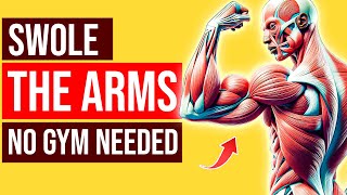 Get Bigger Arms Without Any Weights TRULY WORKS [upl. by Adnert]