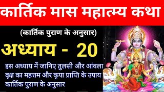 DAY20 कार्तिक मास महात्म्य कथा अध्याय 20 Kartik Maas Katha Adhyaya20 [upl. by Shu709]