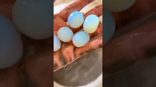 OPALINE OPALITE Eggs 🪺  Syn Gemstone  opaline synthetic glass shorts [upl. by Goldina]